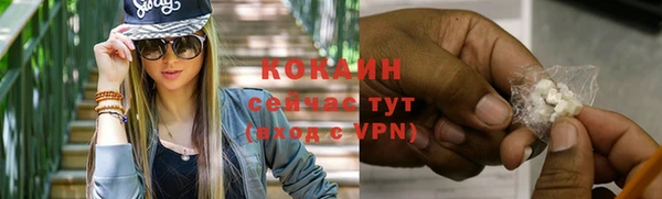 прущие крисы Верея