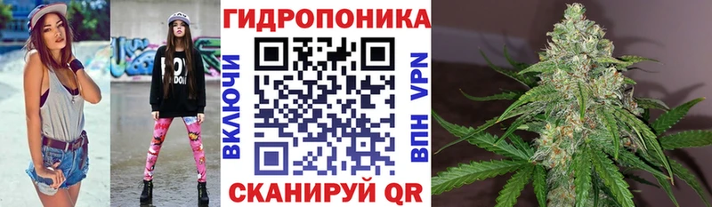 Купить  Кыштым  Каннабис план 